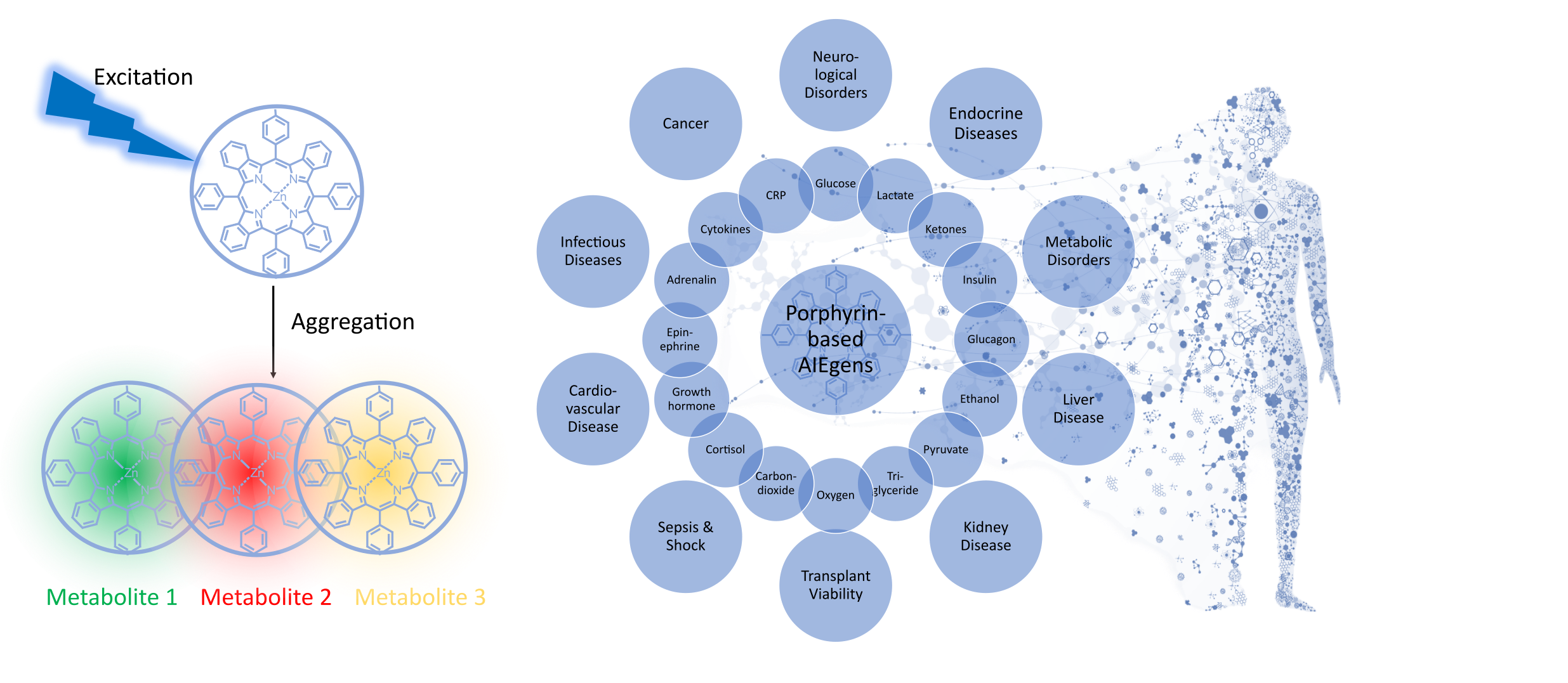 image from Illuminating Personalized Medicine